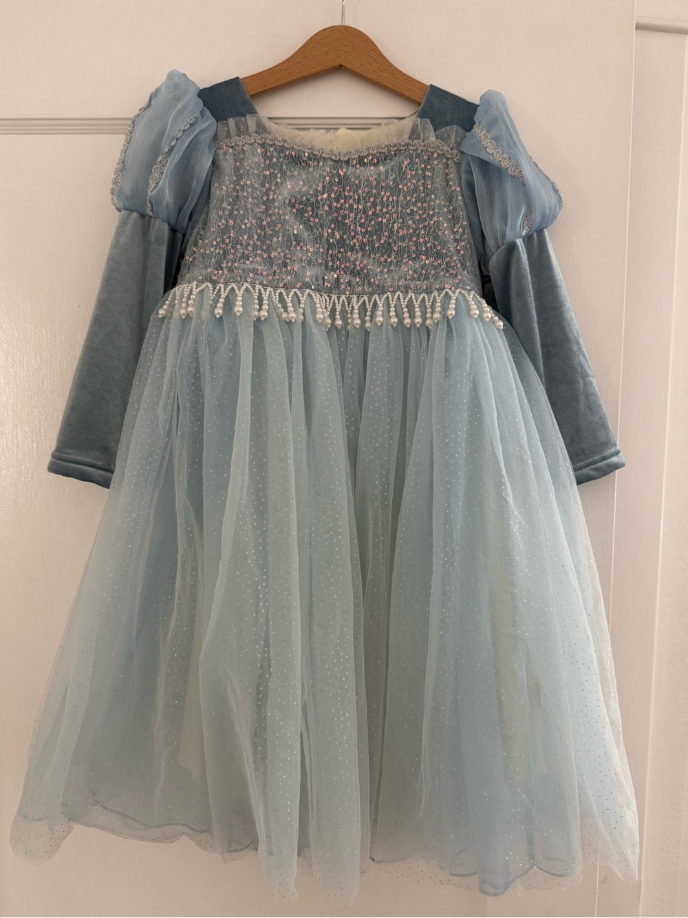 Velvet, Beaded Elsa or Cinderella Costume